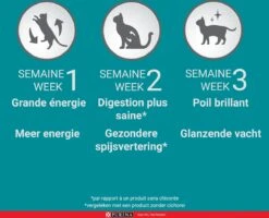 Purina One Sensitive - Kalkoen/Rijst - Kattenvoer - 800 G -Kattenbenodigdheden 1200x970