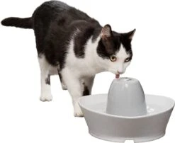 PetSafe® Streamside Ceramic Pet Fountain - Keramische Drinkfontein Voor Katten En Kleine Honden - Water Borrelt Zacht Over De Toren - Door Het Design Van Alle Kanten Bereikbaar - 1,8 Liter - PetSafe Streamside -Kattenbenodigdheden 1200x983 2