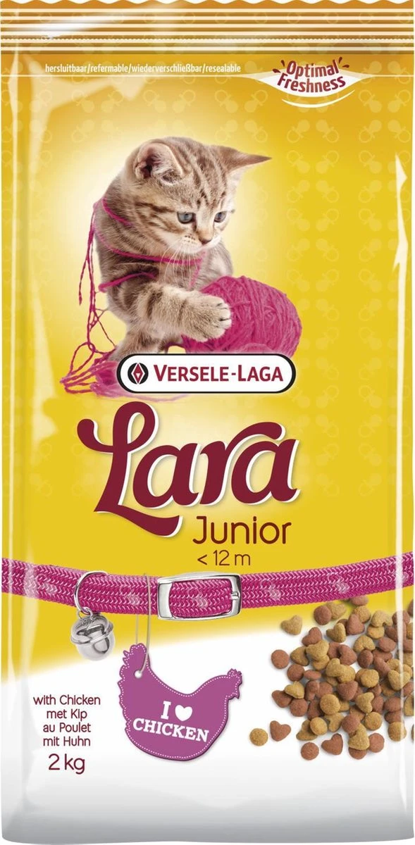 Lara Kitten (2 KG) 3 Lara Kitten (2 KG)