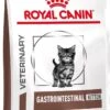 Royal Canin Gastrointestinal Kitten - 2 Kg -Kattenbenodigdheden 730x1200 1