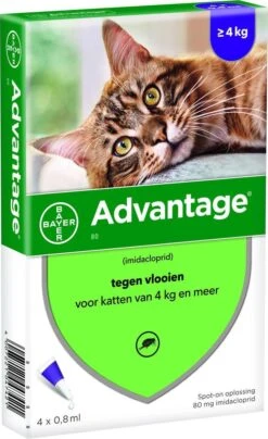 Bayer Anti Vlooienmiddel Advantage 80 > 4 Kg - 4 X 0,8 Ml -Kattenbenodigdheden 734x1200 2