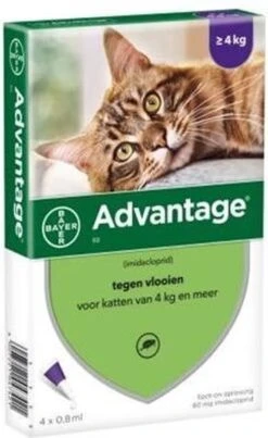 Bayer Advantage 40 Tegen Vlooien - <4kg - 4 X 0,4 Ml - Adult 28 Bayer Advantage 40 Tegen Vlooien - <4kg - 4 X 0,4 Ml - Adult -Kattenbenodigdheden 735x1200 3
