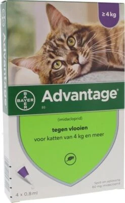 Bayer Anti Vlooienmiddel Advantage 80 > 4 Kg - 4 X 0,8 Ml -Kattenbenodigdheden 739x1200 1