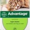 Advantage Kat 80 - 4 Pipet -Kattenbenodigdheden 771x1200 1