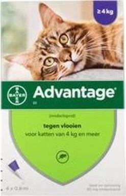 Advantage 80 Vlooiendruppelsl Kat Vanaf 4 Kg - 4 Pipetten -Kattenbenodigdheden 773x1200 1
