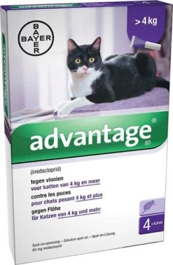 Bayer Anti Vlooienmiddel Advantage 80 > 4 Kg - 4 X 0,8 Ml -Kattenbenodigdheden 783x1200 2