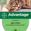 Bayer Anti Vlooienmiddel Advantage 80 > 4 Kg - 4 X 0,8 Ml -Kattenbenodigdheden 788x1200 2