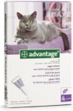 Bayer Anti Vlooienmiddel Advantage 80 > 4 Kg - 4 X 0,8 Ml -Kattenbenodigdheden 792x1200
