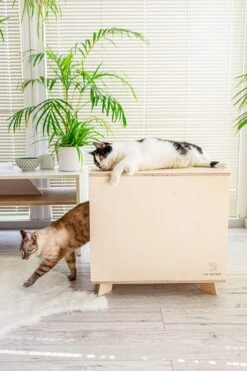 Catandwood Kattenhuis - Kattenbakcontainer - Kattenbak Ombouw - Hout -Kattenbenodigdheden 799x1200 3