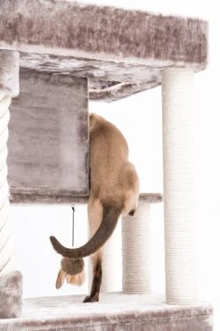 Petrebels Lodge 107 Krabpaal - Cappuccino - Design - Zeer Stabiel -Kattenbenodigdheden 800x1200 21