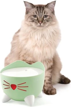 Catit Pixi Fountain - Kattendrinkbak - 20x20x16 Cm Groen 15 Catit Pixi Fountain - Kattendrinkbak - 20x20x16 Cm Groen -Kattenbenodigdheden 800x1200 4