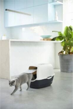 Rotho Bailey - Kattenbak - Zwart/Zand 13 Rotho Bailey - Kattenbak - Zwart/Zand -Kattenbenodigdheden 801x1200 2