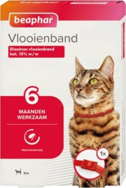Beaphar Vlooienband Kat - Rood - 1 Stuk -Kattenbenodigdheden 804x1200 4