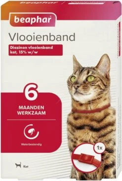 Beaphar Vlooienband Kat - Rood - 1 Stuk -Kattenbenodigdheden 807x1200 2