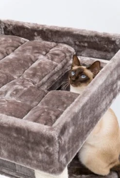 Petrebels Lodge 107 Krabpaal - Cappuccino - Design - Zeer Stabiel -Kattenbenodigdheden 810x1200 6