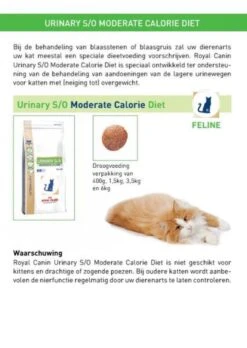 Royal Canin Urinary S/O Moderate Calorie - Kattenvoer - 9 Kg -Kattenbenodigdheden 852x1200