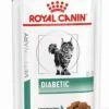 Royal Canin Diabetic Kat Natvoer 12x85 G -Kattenbenodigdheden 861x1200
