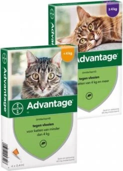 Bayer Anti Vlooienmiddel Advantage 80 > 4 Kg - 4 X 0,8 Ml -Kattenbenodigdheden 866x1200 3