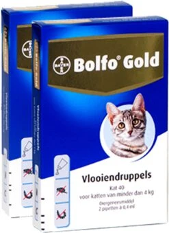 Bayer Bolfo Gold 40 Anti Vlooienmiddel - Kat - 0 Tot 4 Kg - 4 Pipetten -Kattenbenodigdheden 875x1200