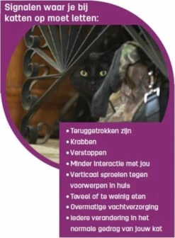 Feliway Classic - Startset - 1 Verdamper + 1 Vulling 48ml - Anti-stress Voor Kat -Kattenbenodigdheden 881x1200 2