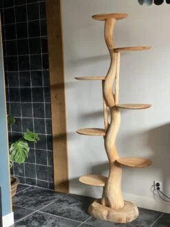 Boomsculptuur Met Ronde Plateaus Voor Planten Of Katten 200cm Hoog -Kattenbenodigdheden 899x1200 19