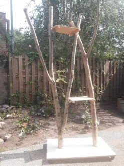 Natuurlijke Klimboom, Krabpaal -Kattenbenodigdheden 900x1200 33