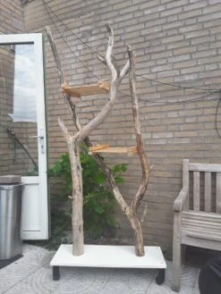 Natuurlijke Klimboom, Krabpaal -Kattenbenodigdheden 900x1200 35