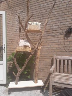 Natuurlijke Klimboom, Krabpaal -Kattenbenodigdheden 900x1200 36