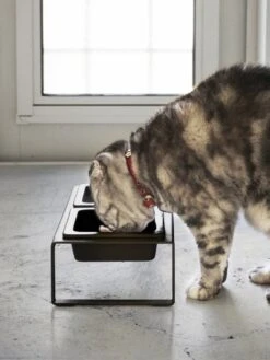 Yamazaki Eetbak - Voederbak Kat - Tweeledig - Zwart 18 Yamazaki Eetbak - Voederbak Kat - Tweeledig - Zwart -Kattenbenodigdheden 901x1200 2