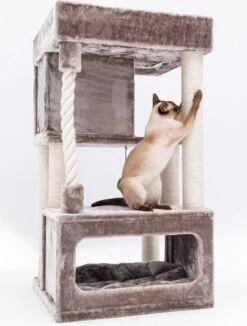 Petrebels Lodge 107 Krabpaal - Cappuccino - Design - Zeer Stabiel -Kattenbenodigdheden 908x1200 1