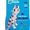 Edgard & Cooper Kattenvoer Adult Zalm 4 Kg -Kattenbenodigdheden 932x1200