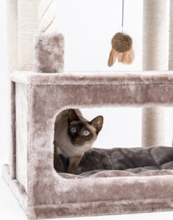 Petrebels Lodge 107 Krabpaal - Cappuccino - Design - Zeer Stabiel -Kattenbenodigdheden 943x1200 1