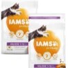 Iams Cat Kitten Kip - Kattenvoer - 2 X 3 Kg -Kattenbenodigdheden 955x1200