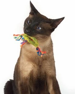 Petstages Dental Health Chew Kattenspeelgoed - Catnip -Kattenbenodigdheden 960x1200 1