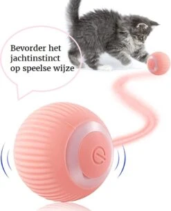 Otiume Slimme Katten Speeltje - Interactieve Zelf Rollende Bal Voor Katten - Kattenspeeltjes - USB Oplaadbaar- Turquoise 16 Otiume Slimme Katten Speeltje - Interactieve Zelf Rollende Bal Voor Katten - Kattenspeeltjes - USB Oplaadbaar- Turquoise -Kattenbenodigdheden 968x1200 1