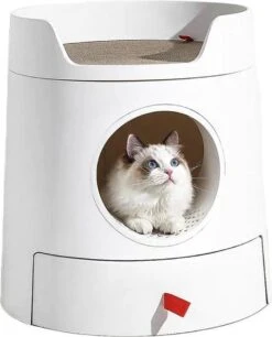 Kattenbenodigdheden -Kattenbenodigdheden 968x1200 2