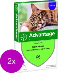 Bayer Advantage 80 Kat 4 Pip - Anti Vlooienmiddel - 2 X 0.8 Ml - > 4 Kg