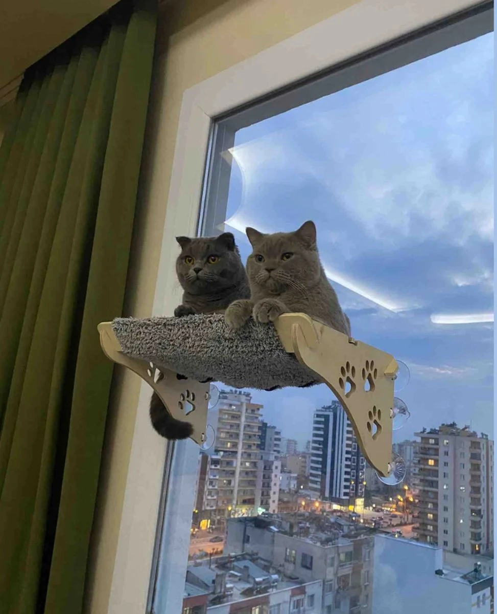 Merkloos Arnillo - Kattenhangmat - Kattenhangmat Raam - Kattenmand - Kattenbed - Kattenbed Raam - Kat Decoratie - Houten Kattenhangmat 3 Merkloos Arnillo - Kattenhangmat - Kattenhangmat Raam - Kattenmand - Kattenbed - Kattenbed Raam - Kat Decoratie - Houten Kattenhangmat